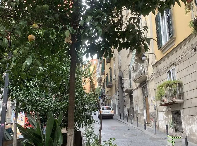 Gradoni 15 Casa Di Appartement